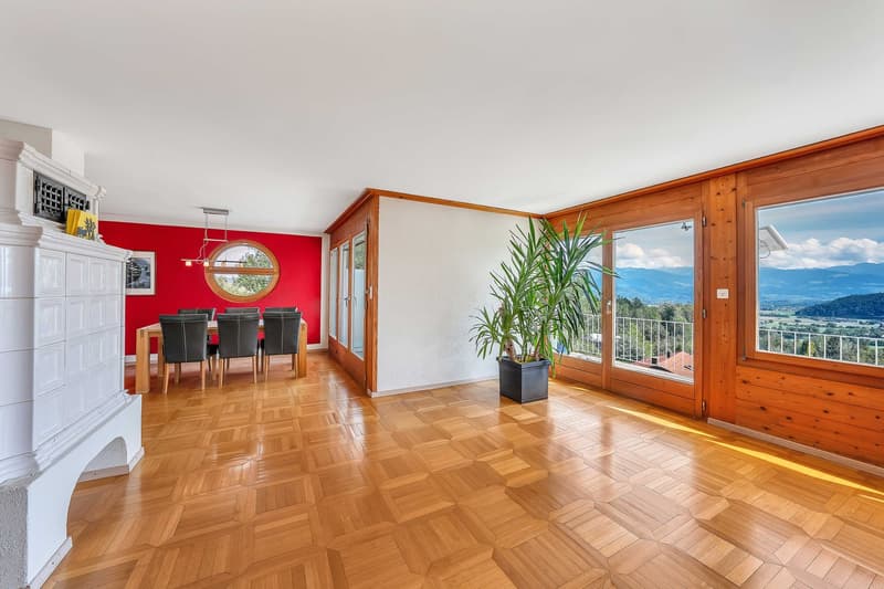 Doppeleinfamilienhaus (6)