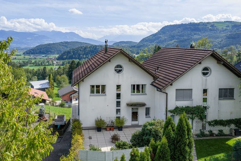 Doppeleinfamilienhaus (3)