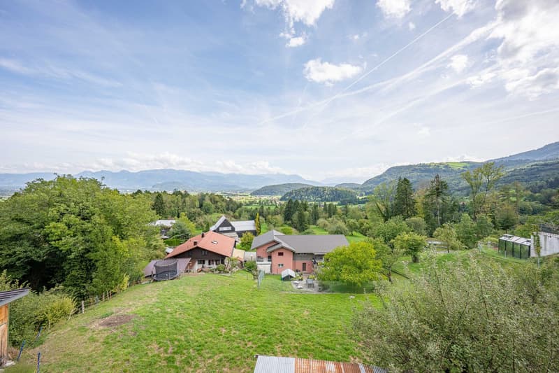 Doppeleinfamilienhaus (4)