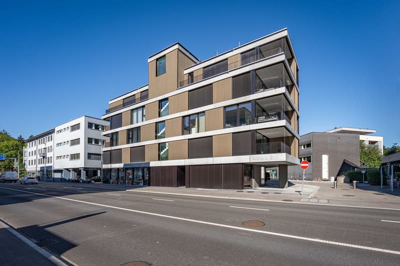 3.5-Zimmer-Wohnung (2)