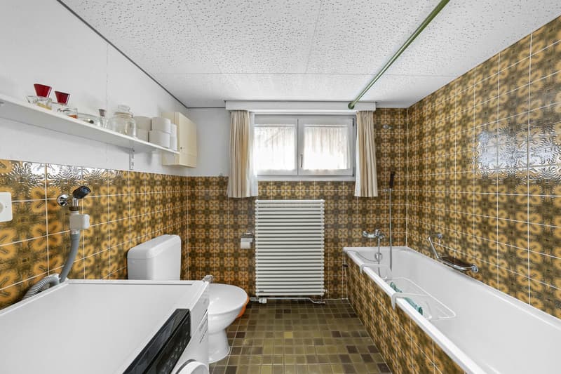 Doppeleinfamilienhaus (8)