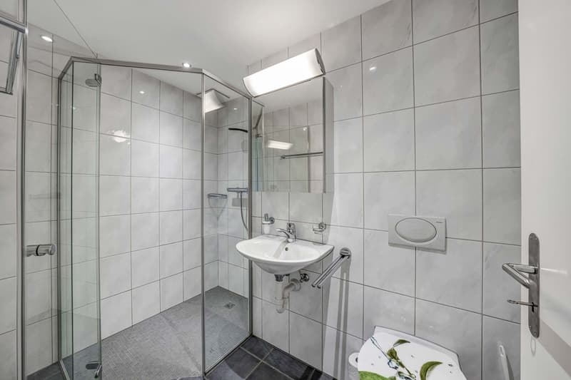 4.5-Zimmer-Wohnung (11)