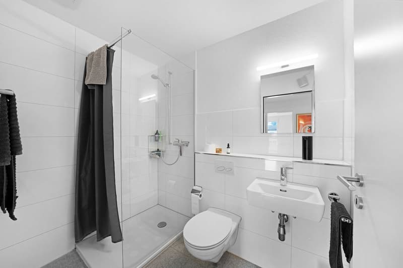 4.5-Zimmer-Wohnung (8)