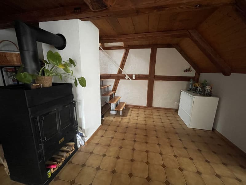 3.5-Zimmer-Wohnung (3)