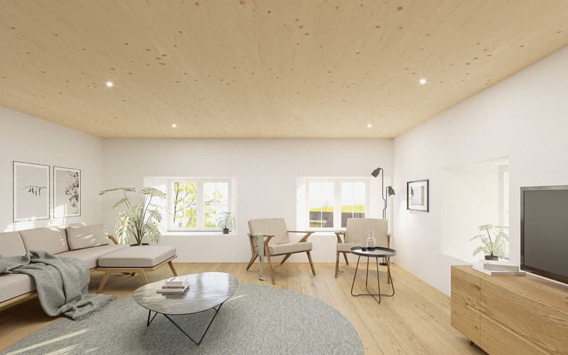 Neubauprojekt Doppeleinfamilienhaus [Totalrenovation] (5)