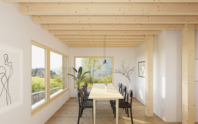 Neubauprojekt Doppeleinfamilienhaus [Totalrenovation] (4)