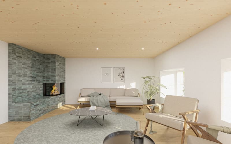 Neubauprojekt Doppeleinfamilienhaus [Totalrenovation] (7)