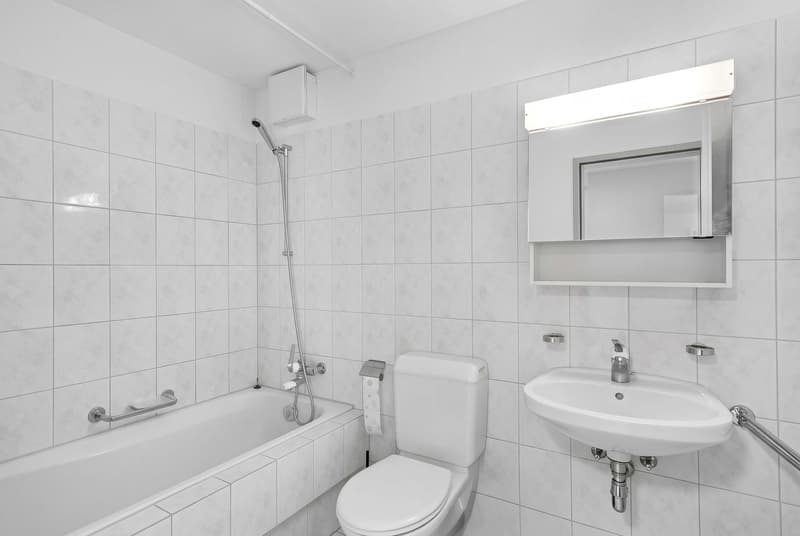2.5-Zimmer-Wohnung (6)