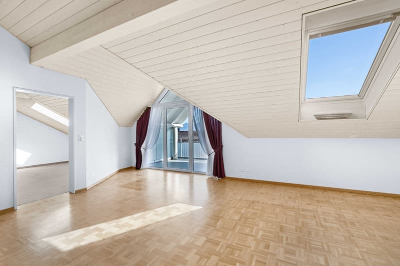 4.5-Zimmer-Wohnung (3)