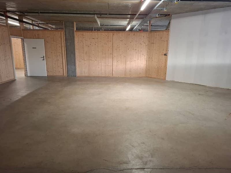 Entrepôt à Meyrin - Idéal pour archivage ou min Hub (2)
