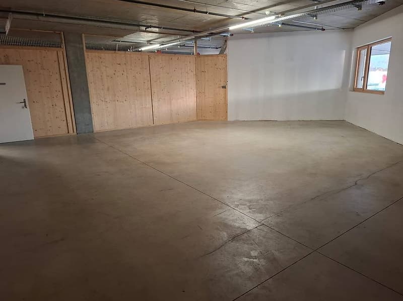 Entrepôt à Meyrin - Idéal pour archivage ou min Hub (4)