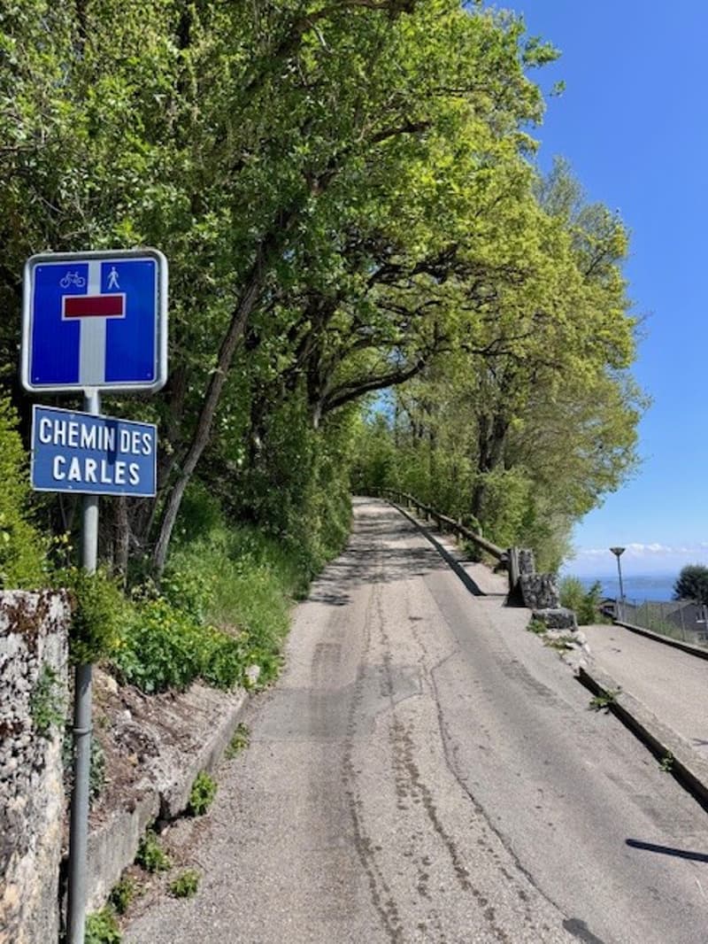 La Vigie - Villa de 2 appartements à Corcelles NE – nature, calme, vue lac et alpes (7)