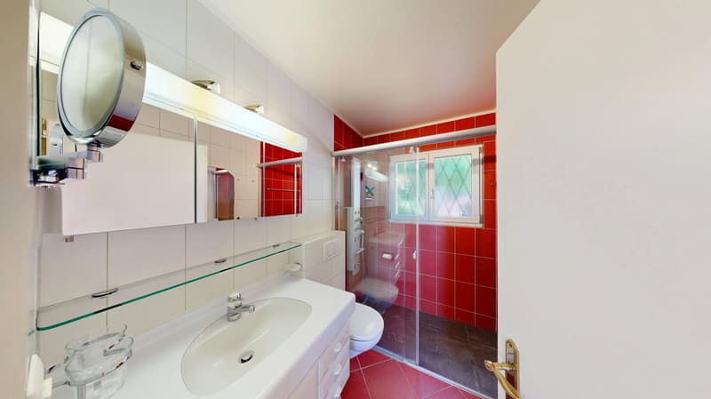 La Vigie - Villa de 2 appartements à Corcelles NE – nature, calme, vue lac et alpes (12)