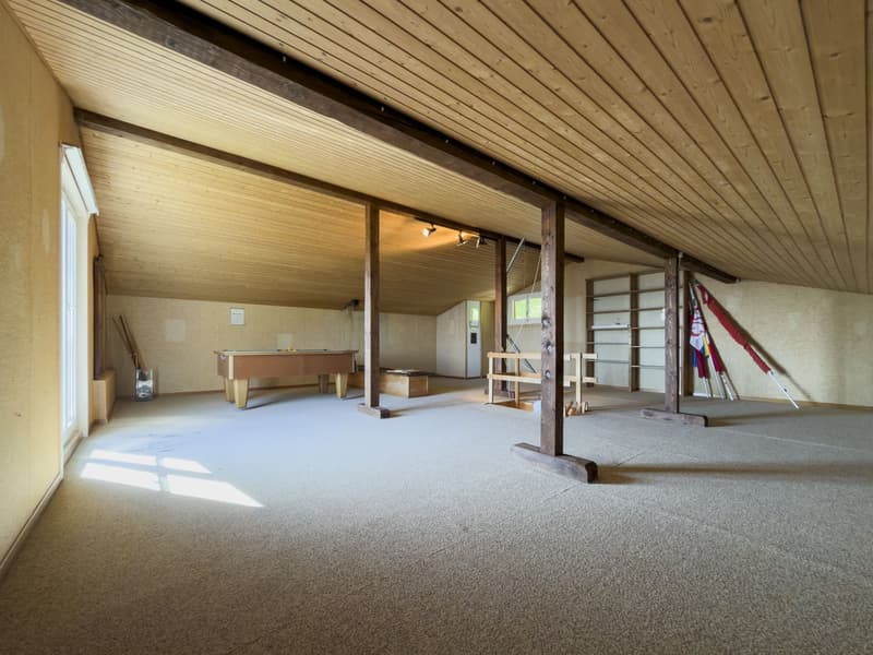 La Vigie - Villa de 2 appartements à Corcelles NE – nature, calme, vue lac et alpes (14)