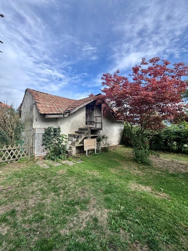 Immeuble de caractère avec grand jardin au cœur du Val-de-Ruz (3)