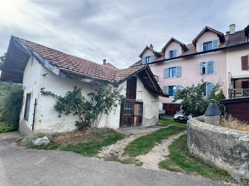 Immeuble de caractère avec grand jardin au cœur du Val-de-Ruz (4)