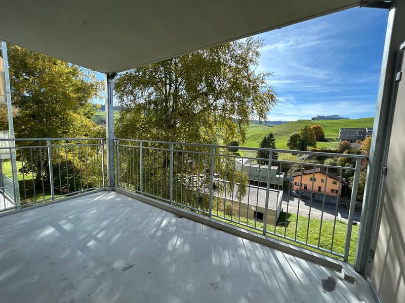 Charmant appartement de 3.5 pièces avec balcon au Locle (10)