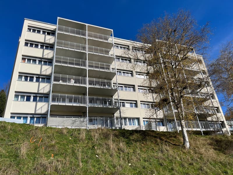 Charmant appartement de 3.5 pièces avec balcon au Locle (11)