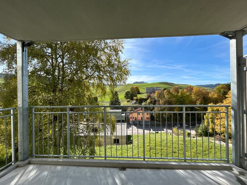 Charmant appartement de 3.5 pièces avec balcon au Locle (9)