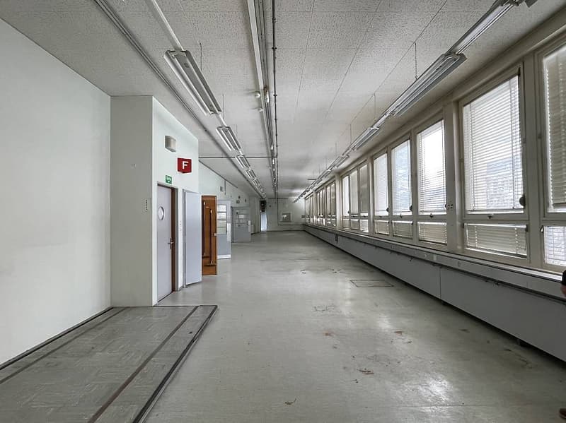 Long hallway, white walls, windows with blinds, fluorescent lights, doors at the end of the hallway