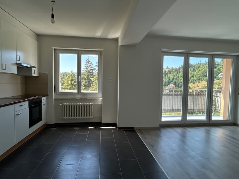 Charmant 2,5 pièces avec vue imprenable et 1er loyer net offert ! (1)