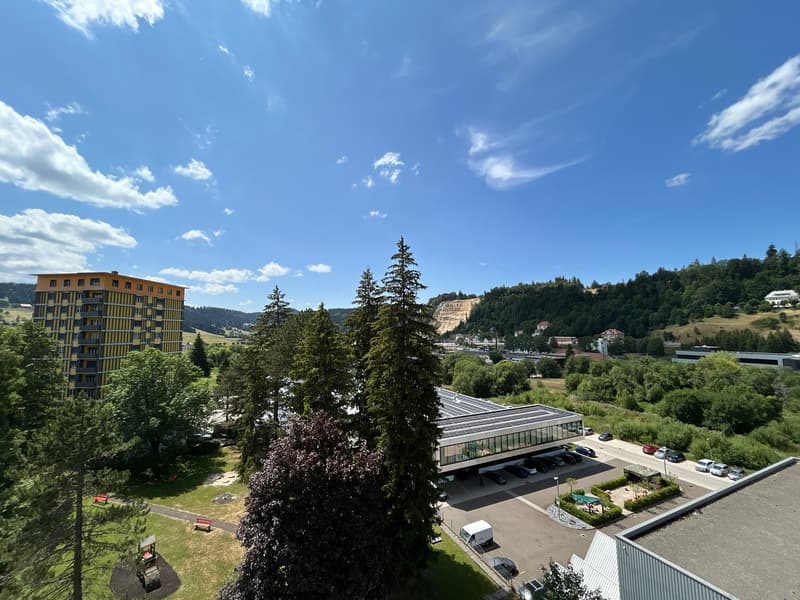 Charmant 2,5 pièces avec vue imprenable et 1er loyer net offert ! (5)