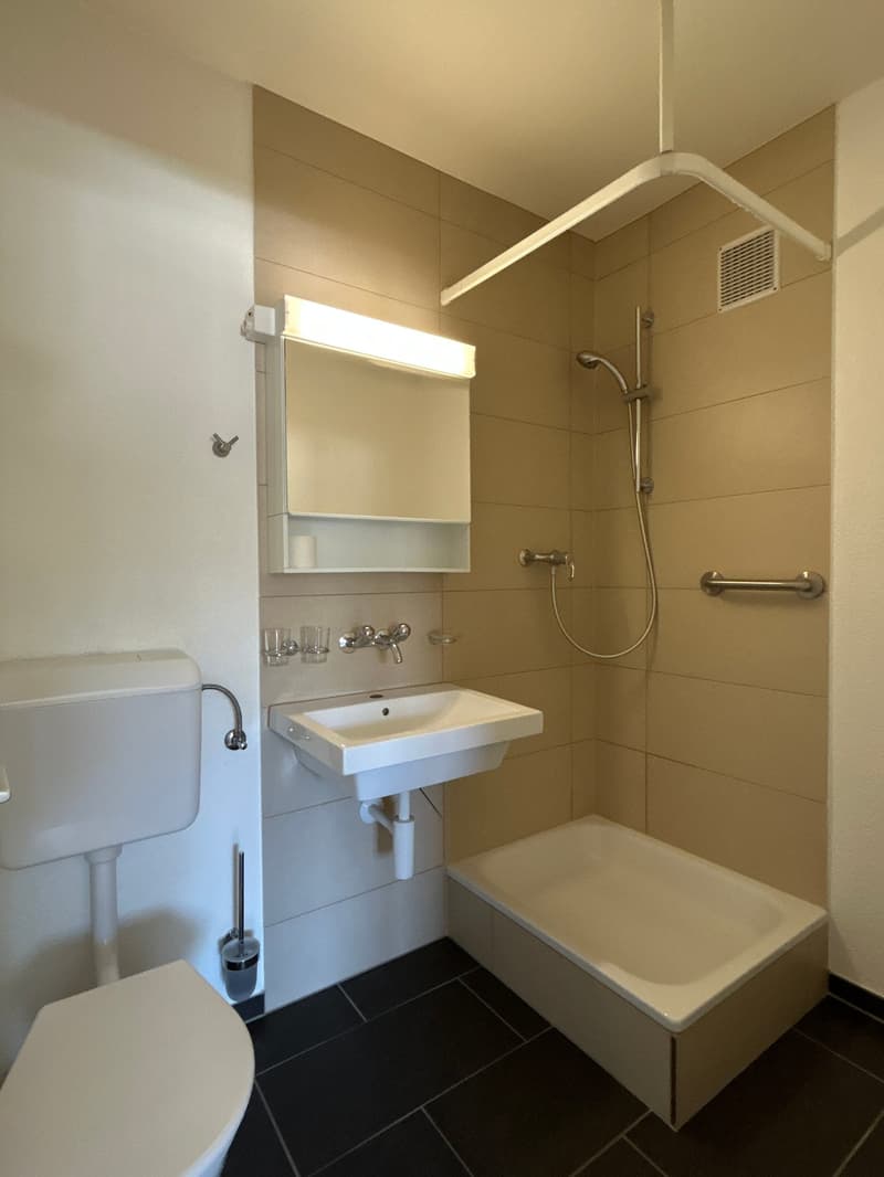 Charmant 2,5 pièces avec vue imprenable et 1er loyer net offert ! (8)