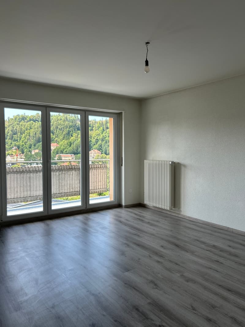 Charmant 2,5 pièces avec vue imprenable et 1er loyer net offert ! (3)