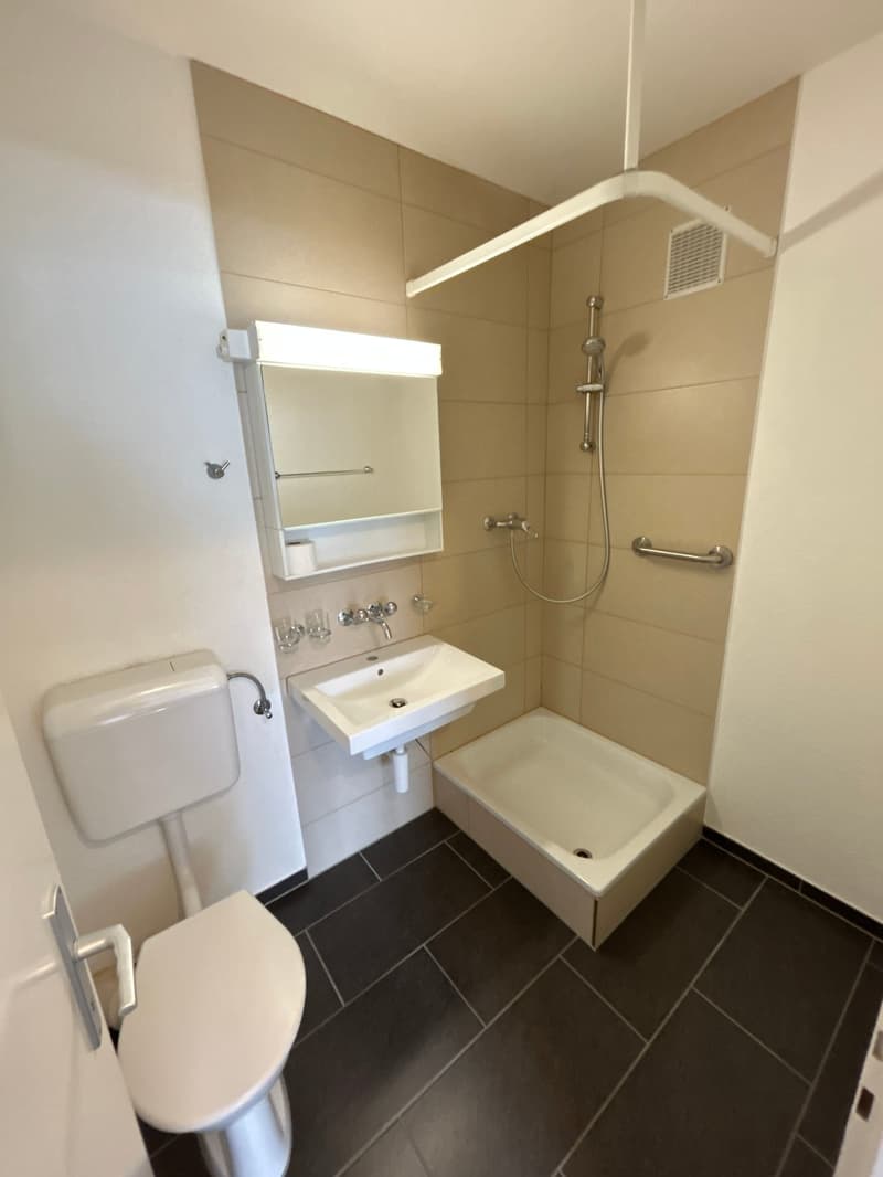 Bathroom with toilet, sink, shower, and mirror