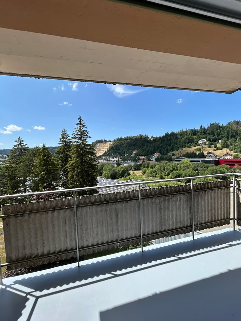 Charmant 2,5 pièces avec vue imprenable et 1er loyer net offert ! (4)