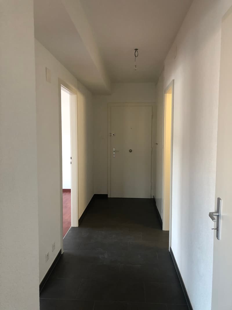 Charmant 2,5 pièces avec vue imprenable et 1er loyer net offert ! (4)