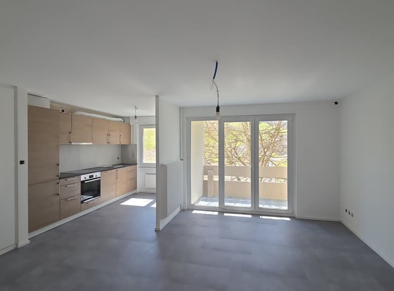 Magnifique appartement 3.5 pièces avec balcon et vue panoramique au Locle (1)