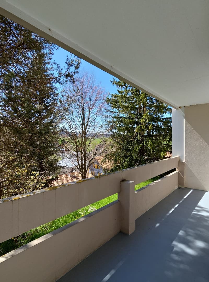 Magnifique appartement 3.5 pièces avec balcon et vue panoramique au Locle (2)