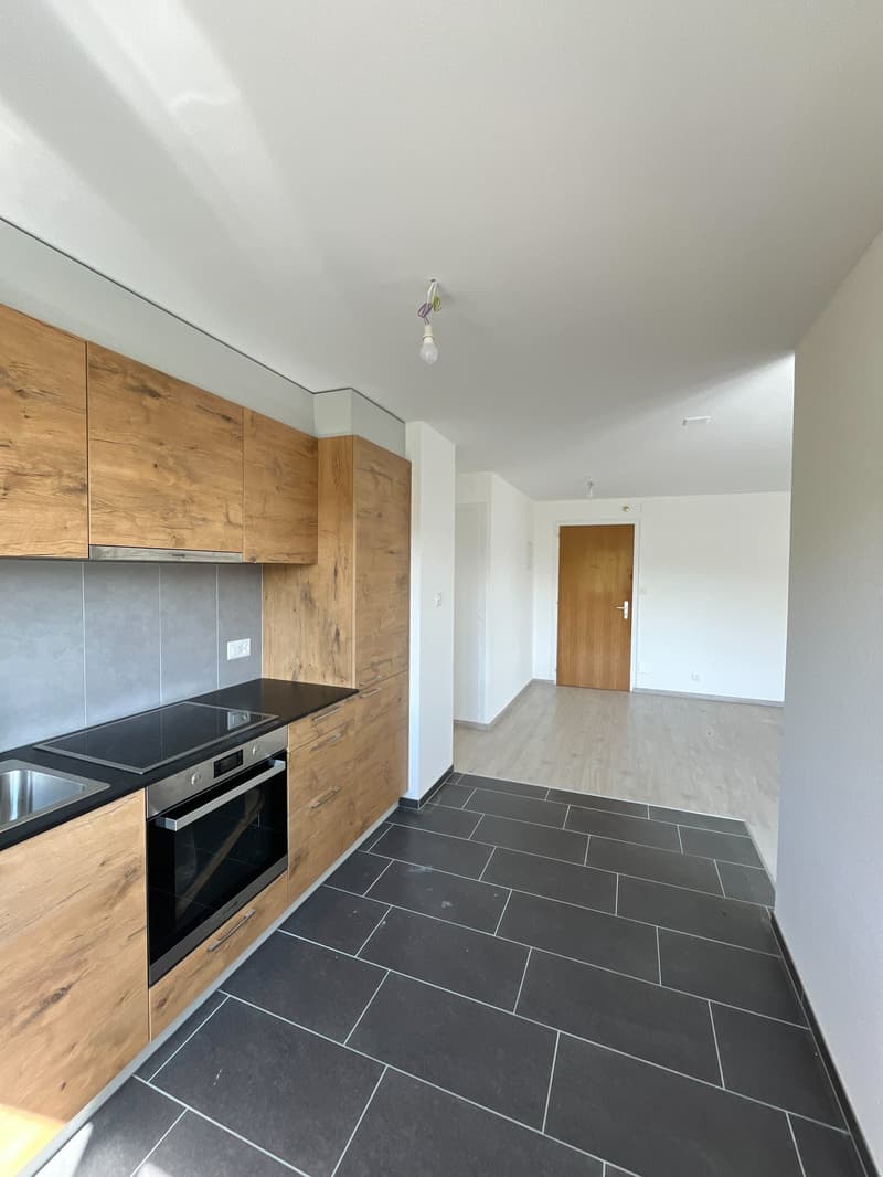 Appartement 3.5 pièces rénové au cœur du Locle (2)