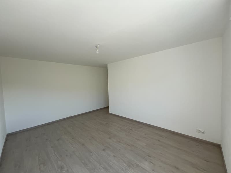 Appartement 3.5 pièces rénové au cœur du Locle (6)