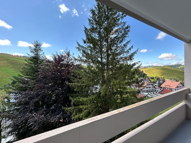 Appartement 3.5 pièces rénové au cœur du Locle (8)