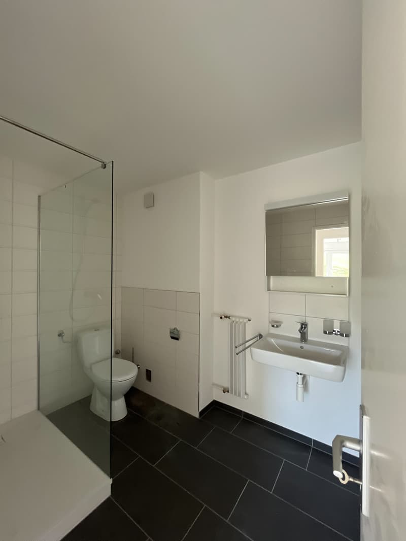 Appartement 3.5 pièces rénové au cœur du Locle (7)