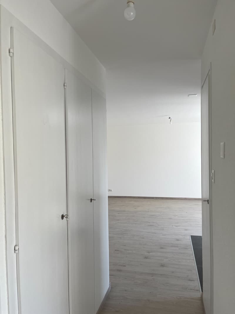 Appartement 3.5 pièces rénové au cœur du Locle (4)