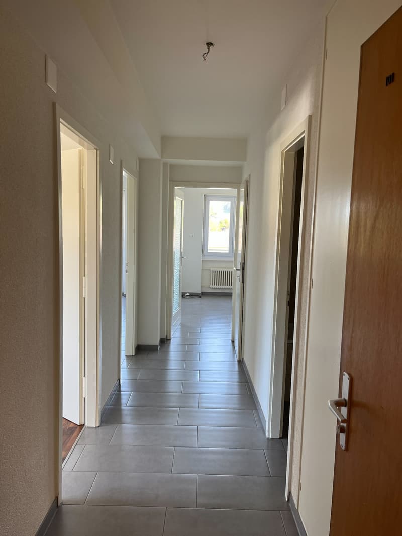 Charmant 2,5 pièces avec vue imprenable et 1er loyer net offert ! (4)