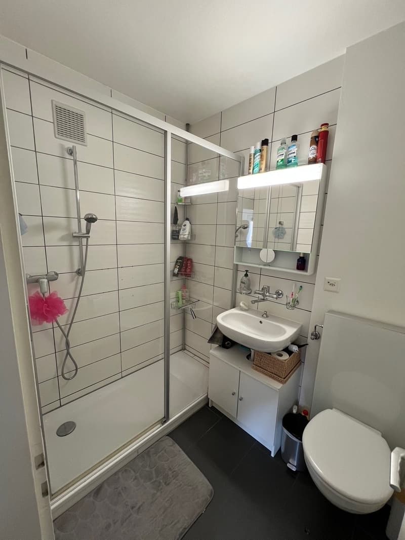 Appartement lumineux de 3.5 pièces avec balcon (8)