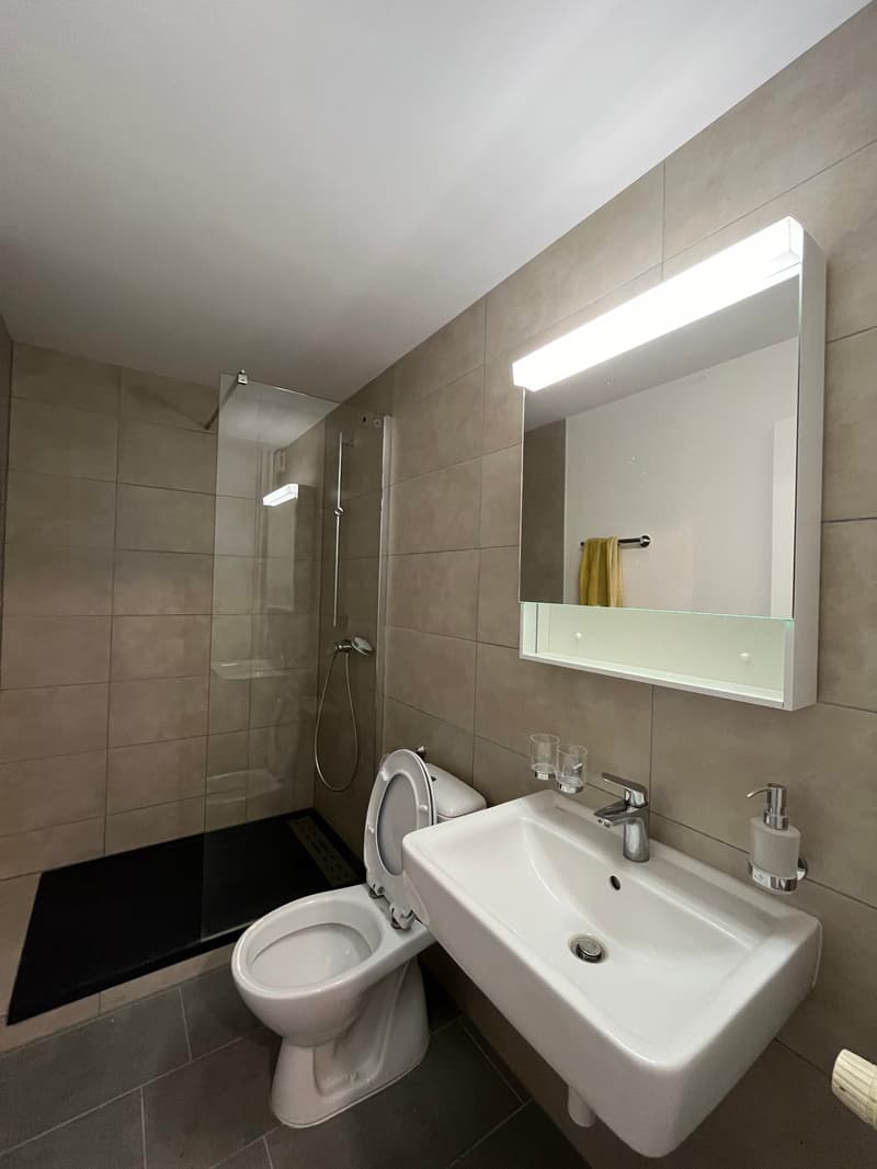 Magnifique appartement 3.5 pièces - 1er loyer net offert ! (7)