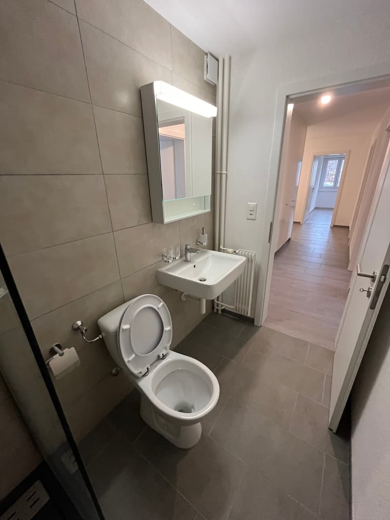 Magnifique appartement 3.5 pièces - 1er loyer net offert ! (8)