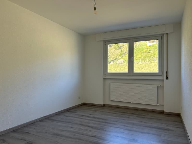 Appartement rénové de 3.5 pièces avec vue et balcons (7)