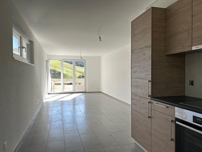 Appartement rénové de 3.5 pièces avec vue et balcons (1)