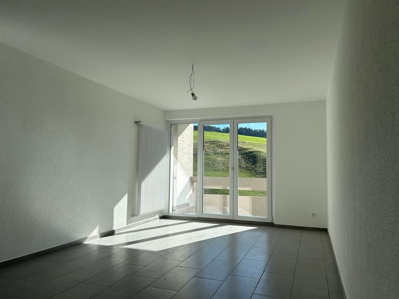 Appartement rénové de 3.5 pièces avec vue et balcons (2)