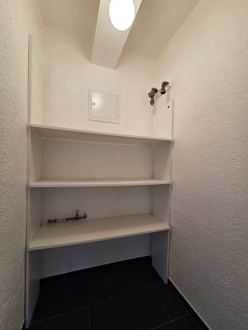 Attique de 2.5 pièces avec magnifique vue (7)