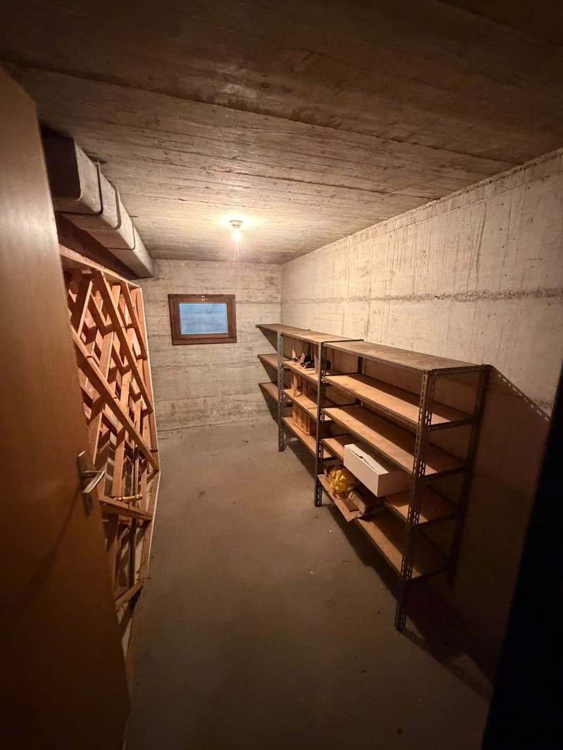 Villa moderne de 4,5 pièces avec garage et terrasses à Delémont (16)