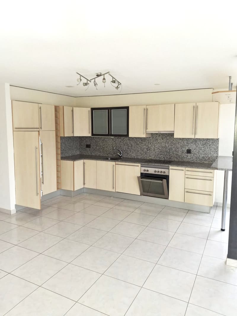 À louer charmant appartement 2.5 pièces (3)
