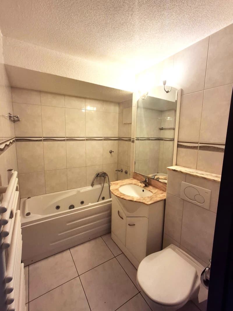 À louer charmant appartement 2.5 pièces (6)