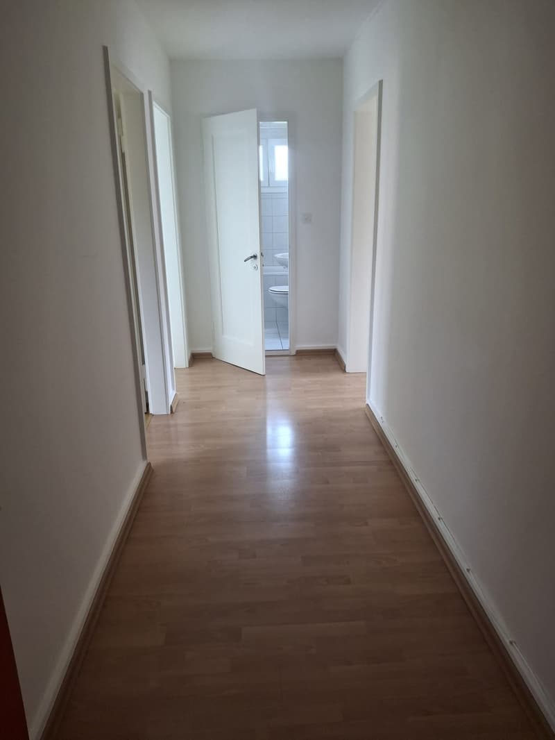 Appartement de 2.5 pièces à louer à Delémont (1)